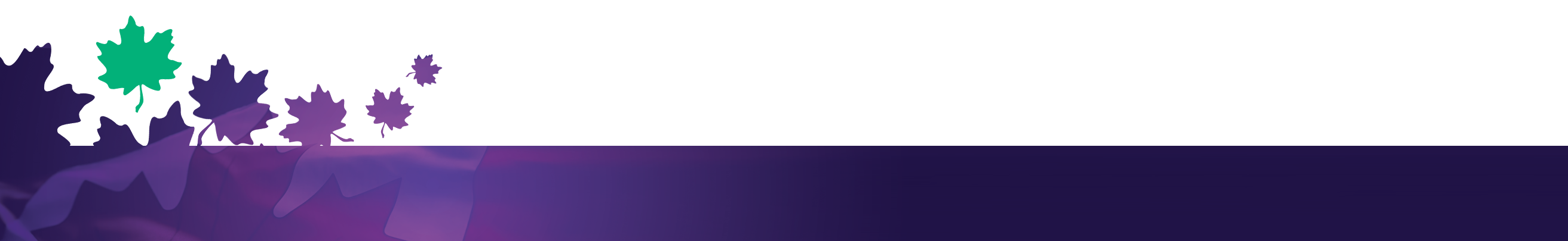 ppcnet_footer